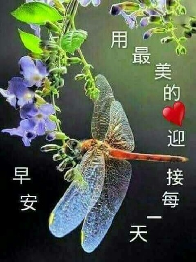 按我可連結至更清楚的圖片